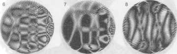 tmp7B-162.jpg