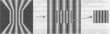 tmp7B-646.jpg